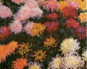 Chrysanthemums  sd, Claude Monet